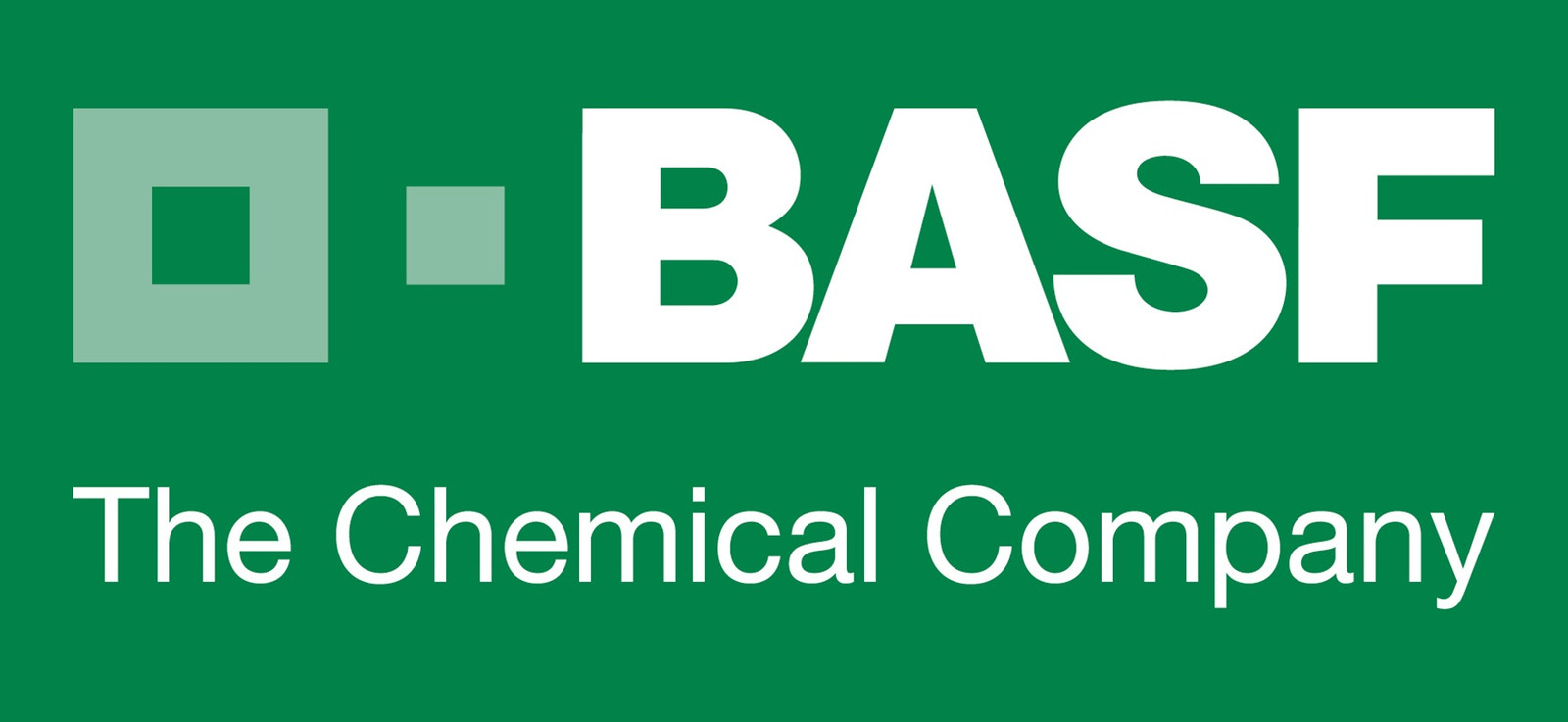 BASF Logo