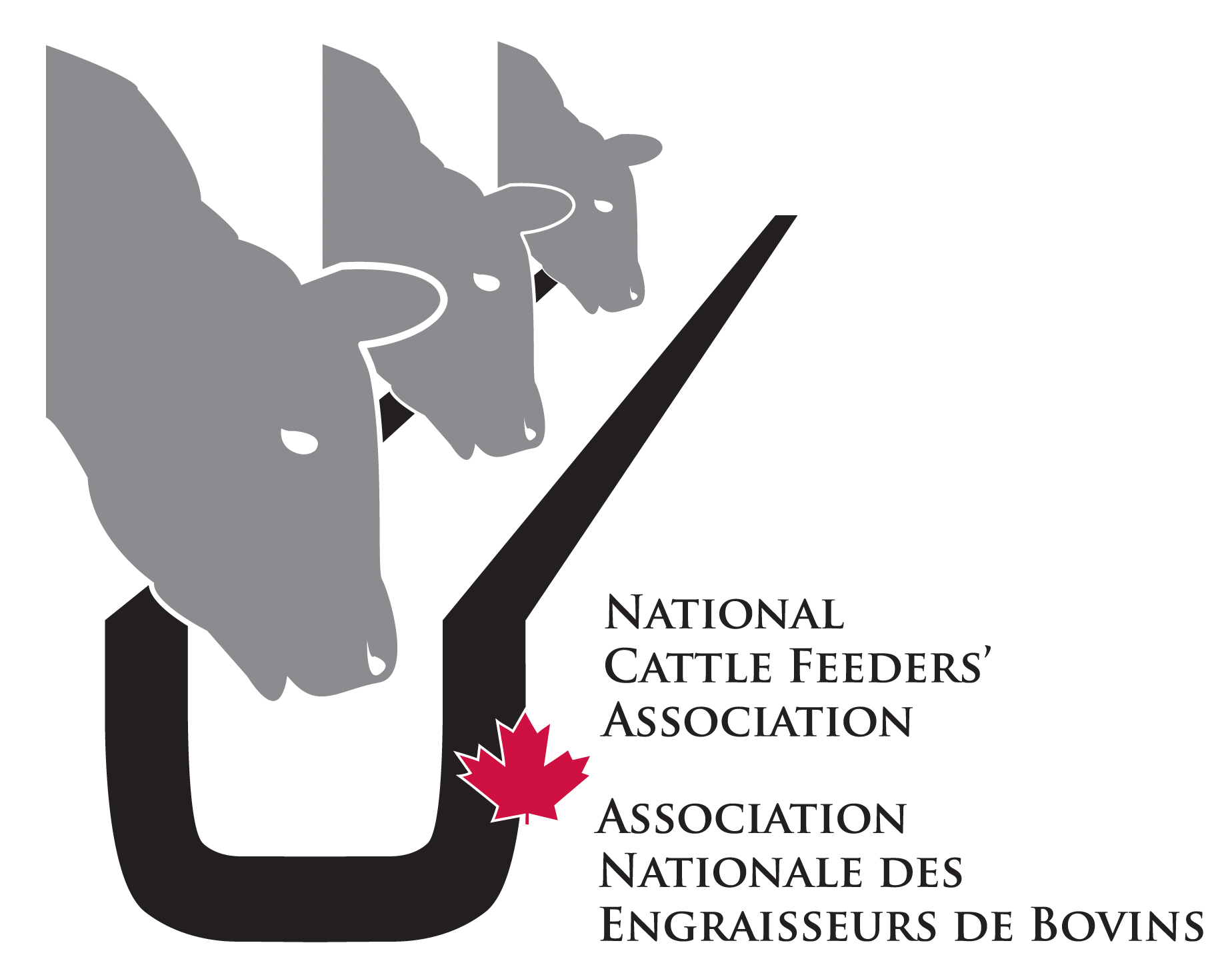 National Cattle Feeders Association Logo