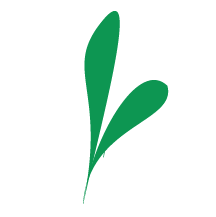 State Ag and Rural Leaders Logo